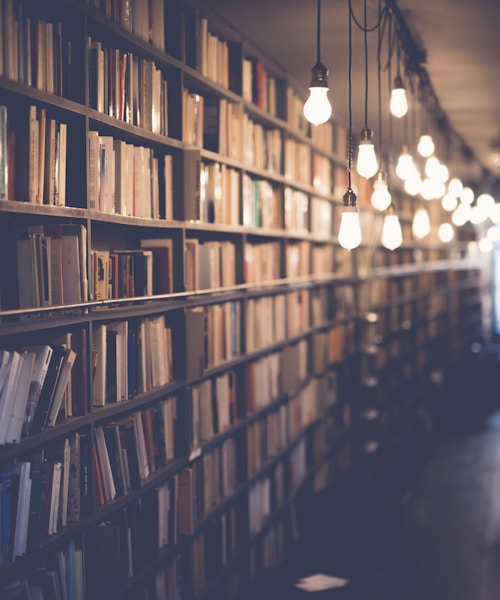 Personal book curation service