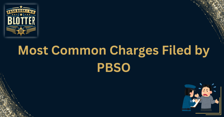 Most Common Charges Filed by PBSO