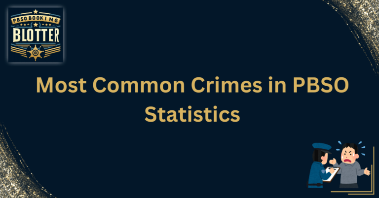 Most Common Crimes in PBSO Statistics